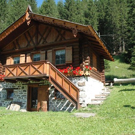 Hotel La Soldanella Moena Zewnętrze zdjęcie